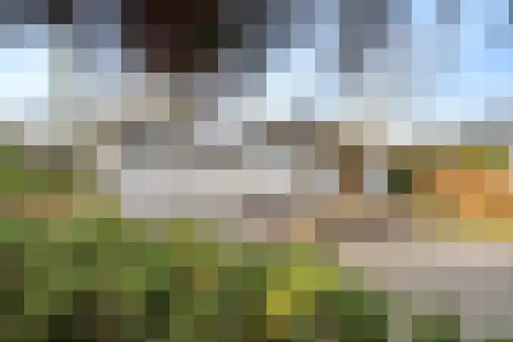 Oude Rijsbergsebaan 9 Breda thumbnail 49