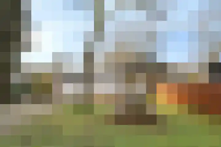 Oude Rijsbergsebaan 9 Breda thumbnail 53