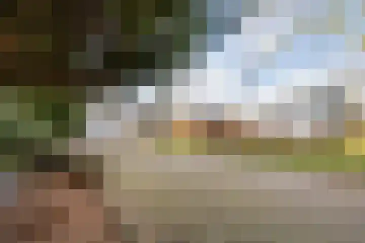 Oude Rijsbergsebaan 9 Breda thumbnail 54