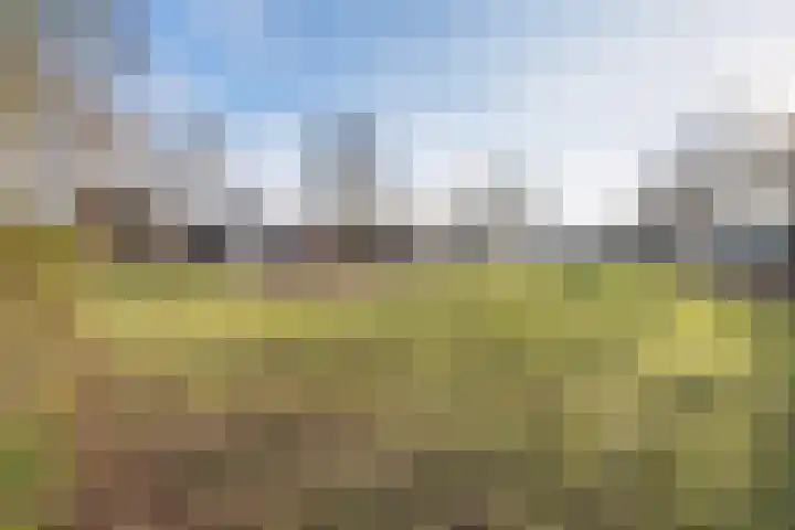 Oude Rijsbergsebaan 9 Breda thumbnail 55