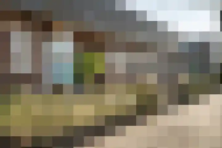Oude Rijsbergsebaan 9 Breda thumbnail 56