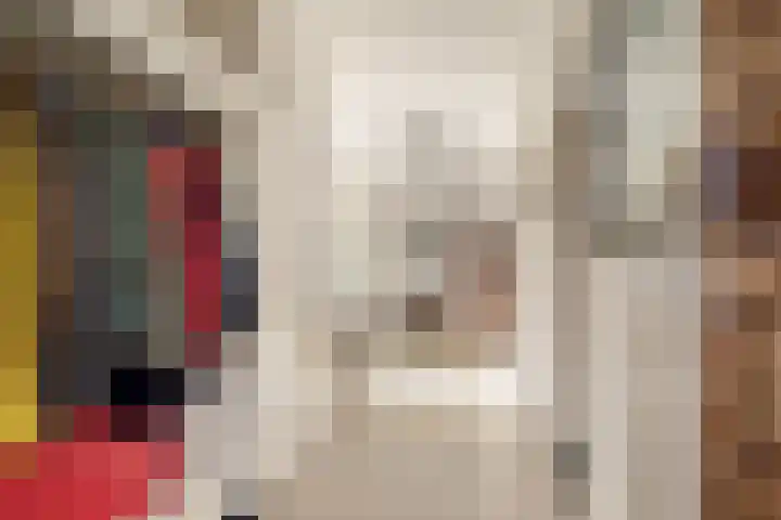 Oude Rijsbergsebaan 9 Breda thumbnail 6