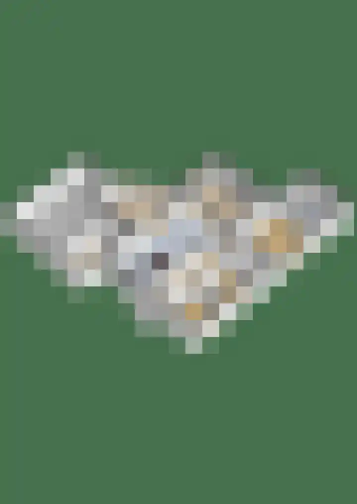 Oude Rijsbergsebaan 9 Breda thumbnail 60