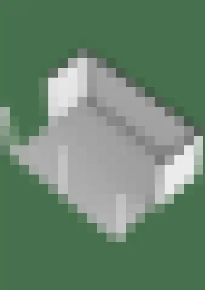 Oude Rijsbergsebaan 9 Breda thumbnail 64