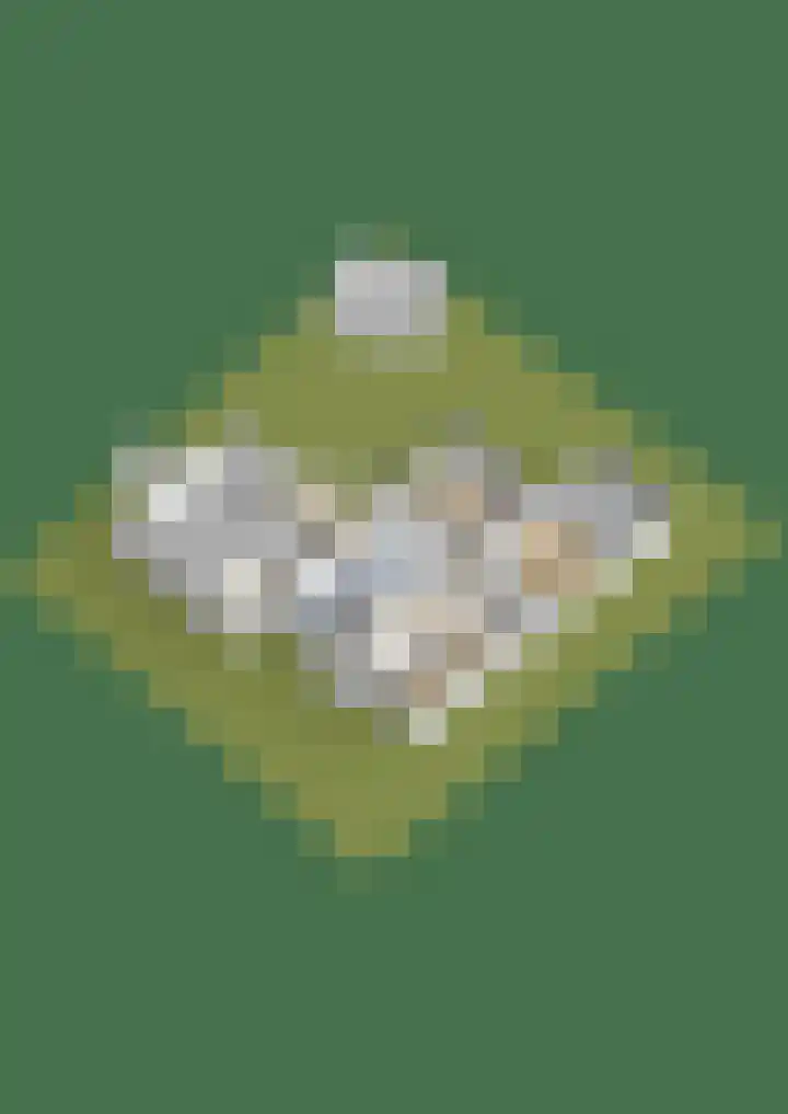 Oude Rijsbergsebaan 9 Breda thumbnail 68