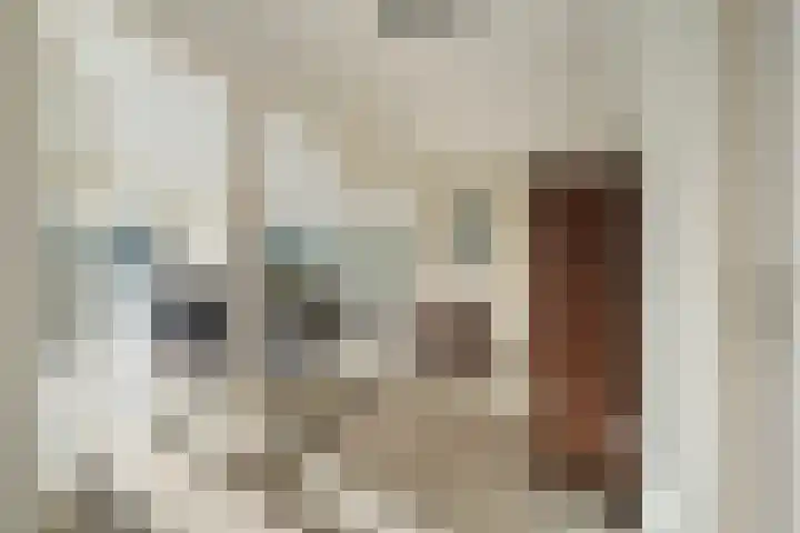 Oude Rijsbergsebaan 9 Breda thumbnail 7