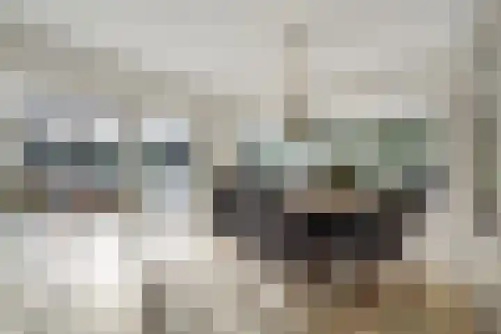 Oude Rijsbergsebaan 9 Breda thumbnail 8