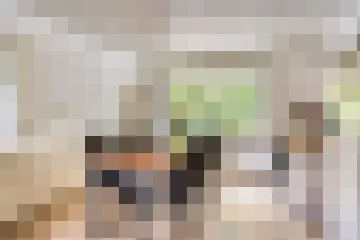 Oude Rips 4 De Rips thumbnail 13