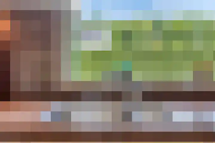 Oude Rips 4 De Rips thumbnail 15