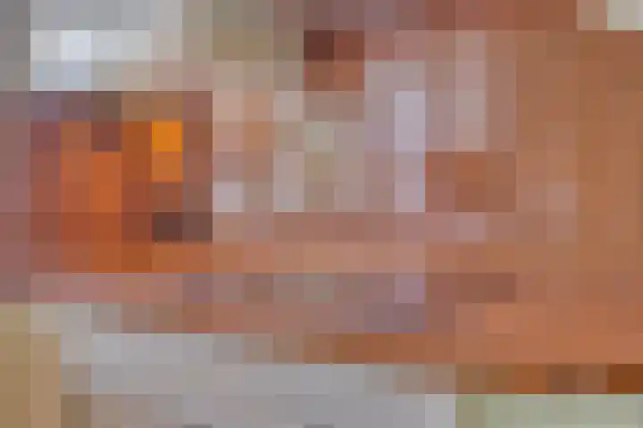 Oude Rips 4 De Rips thumbnail 16