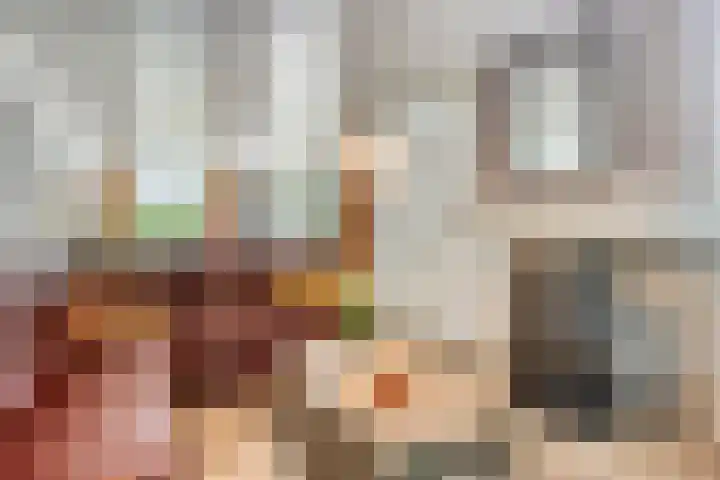 Oude Rips 4 De Rips thumbnail 18