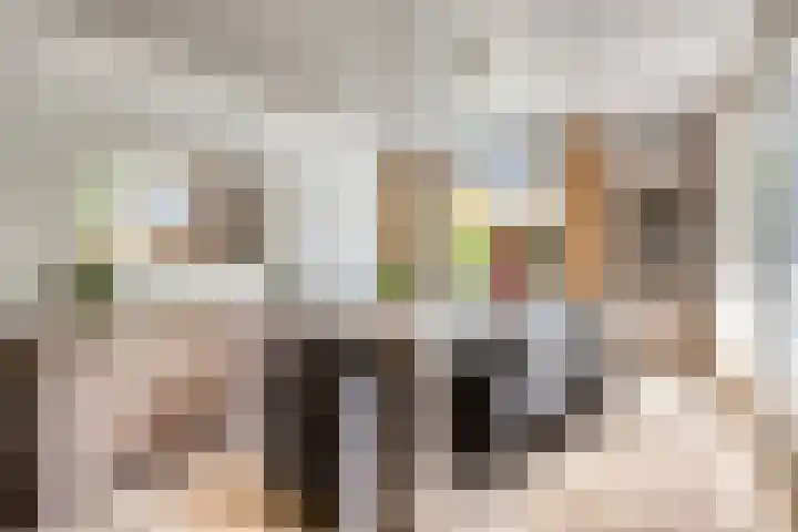 Oude Rips 4 De Rips thumbnail 19