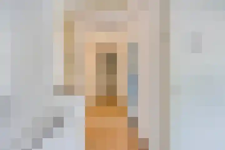 Oude Rips 4 De Rips thumbnail 21
