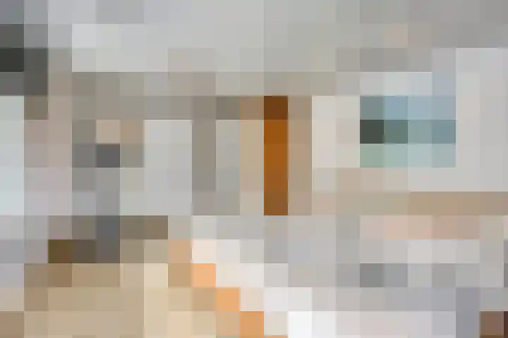 Oude Rips 4 De Rips thumbnail 23