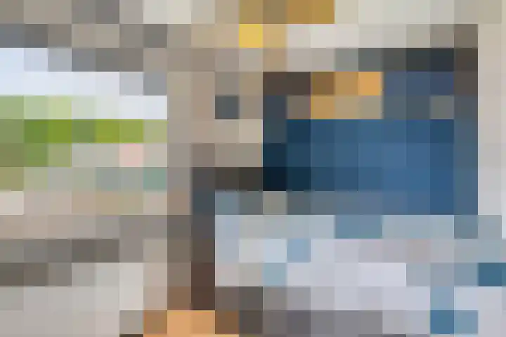Oude Rips 4 De Rips thumbnail 25
