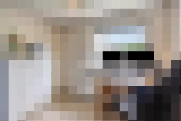 Oude Rips 4 De Rips thumbnail 27