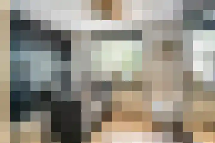 Oude Rips 4 De Rips thumbnail 28