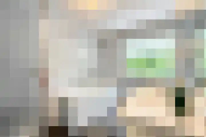 Oude Rips 4 De Rips thumbnail 29