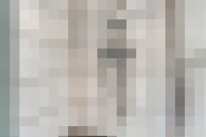 Oude Rips 4 De Rips thumbnail 30