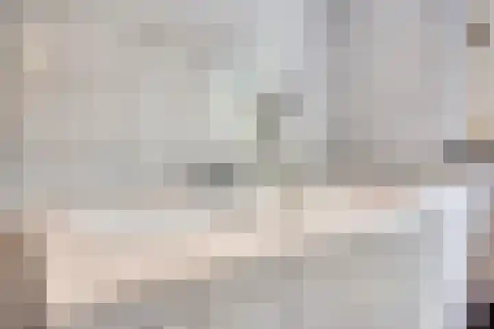 Oude Rips 4 De Rips thumbnail 31