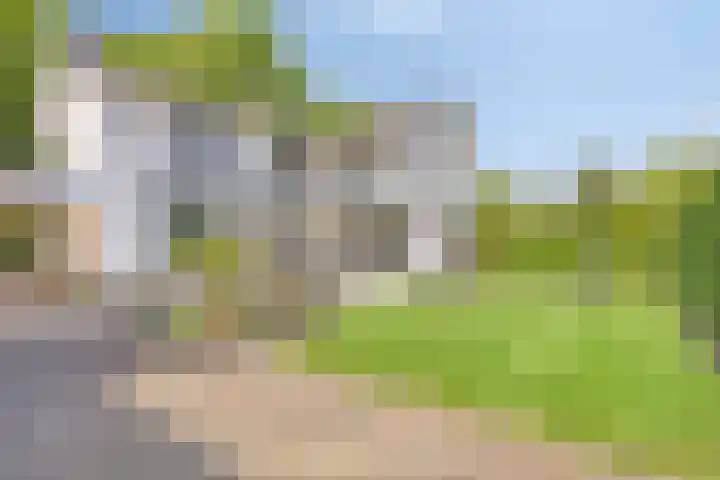 Oude Rips 4 De Rips thumbnail 32