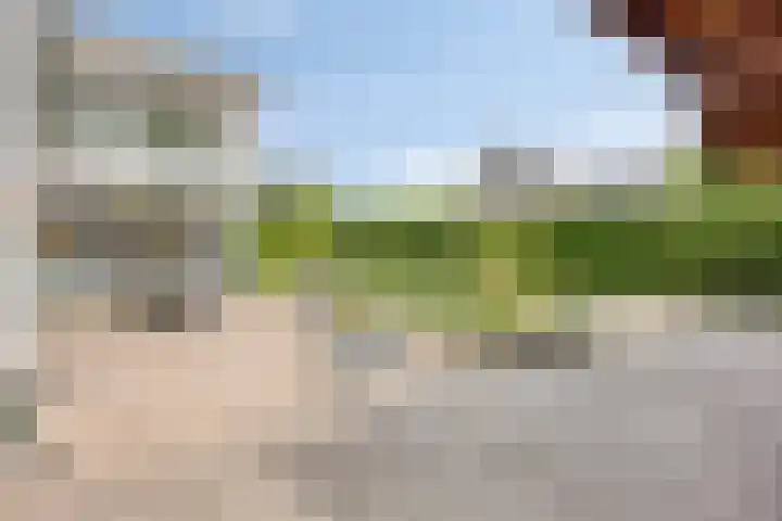 Oude Rips 4 De Rips thumbnail 33