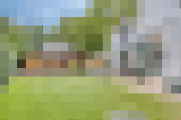 Oude Rips 4 De Rips thumbnail 34