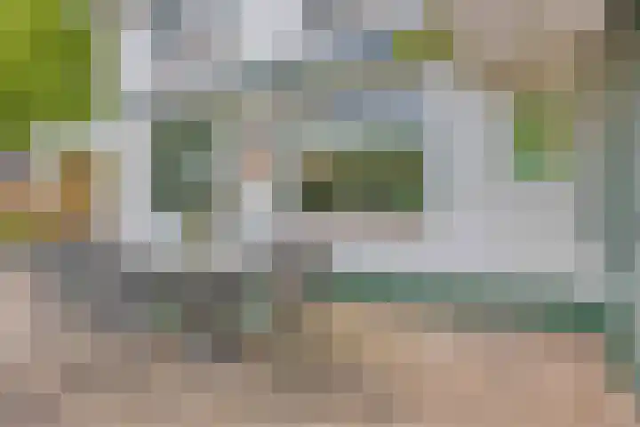 Oude Rips 4 De Rips thumbnail 35