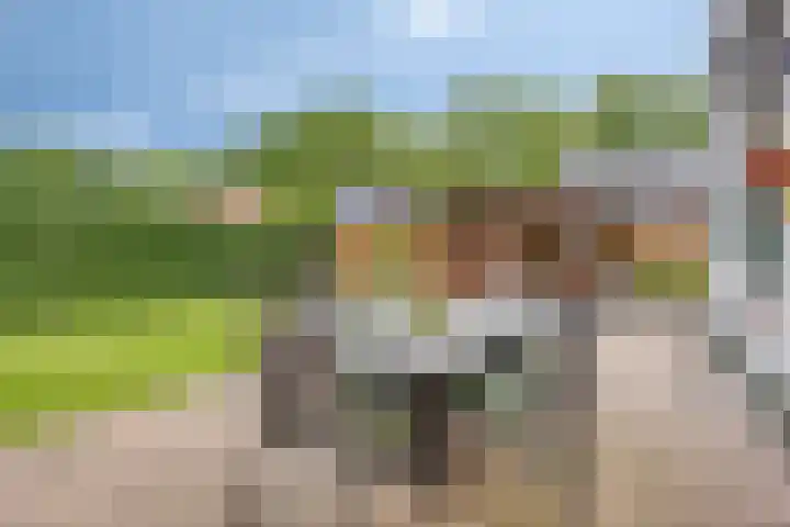 Oude Rips 4 De Rips thumbnail 36