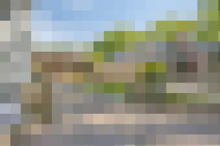 Oude Rips 4 De Rips thumbnail 40