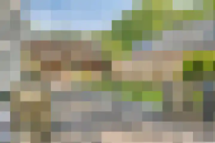 Oude Rips 4 De Rips thumbnail 41