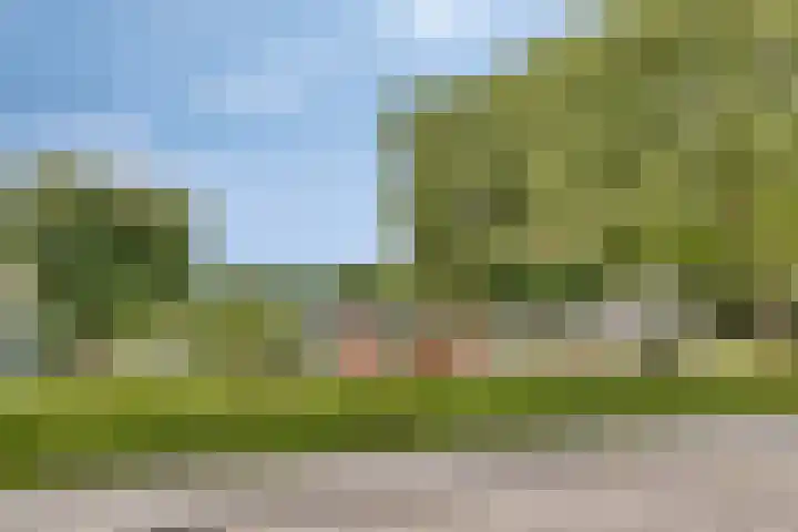 Oude Rips 4 De Rips thumbnail 43