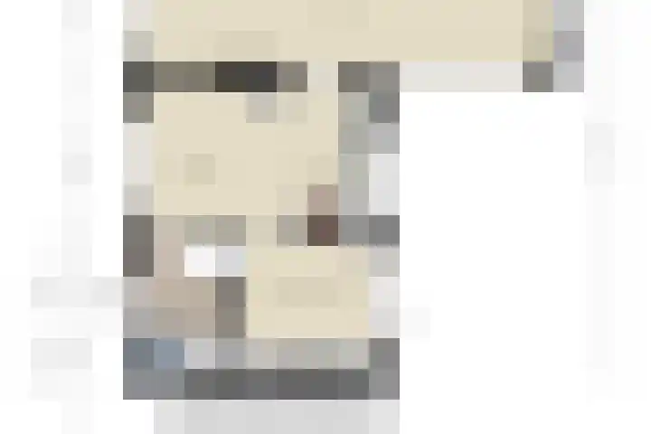 Oude Rips 4 De Rips thumbnail 47