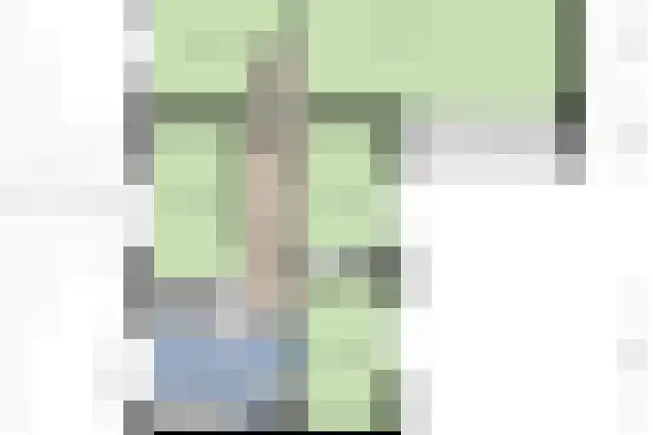 Oude Rips 4 De Rips thumbnail 48