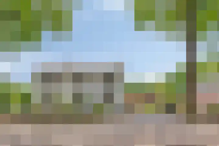 Oude Rips 4 De Rips thumbnail 8
