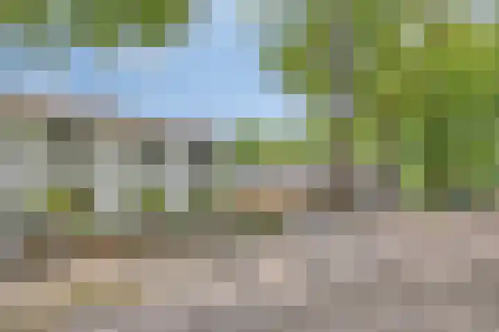 Oude Rips 4 De Rips thumbnail 9