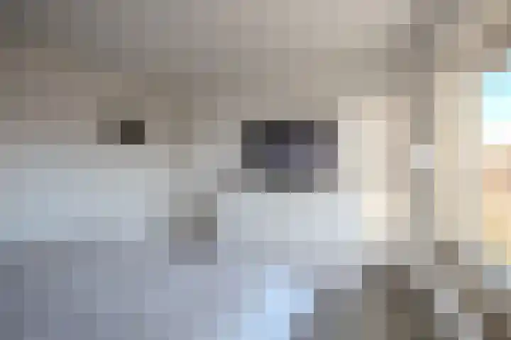 Oude Roermondseweg 64 Herten thumbnail 17