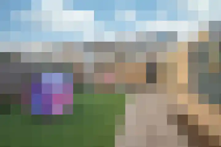 Oude Roermondseweg 64 Herten thumbnail 27