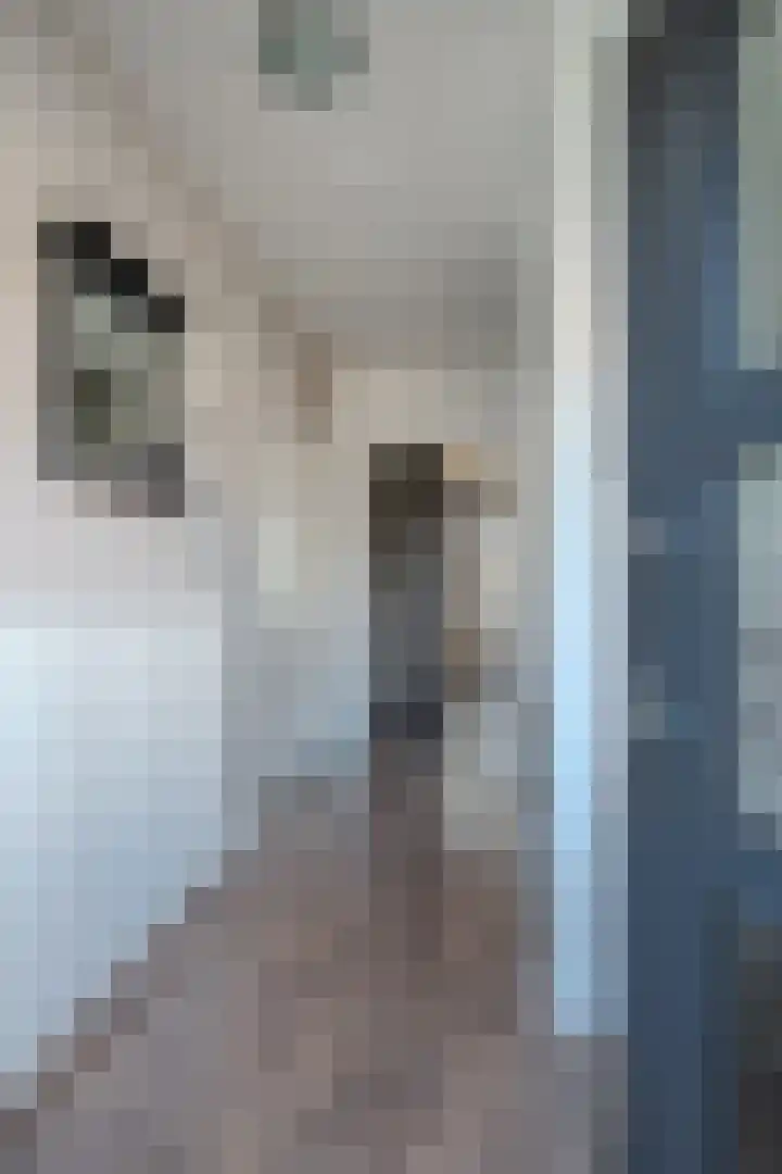 Oude Roermondseweg 64 Herten thumbnail 4