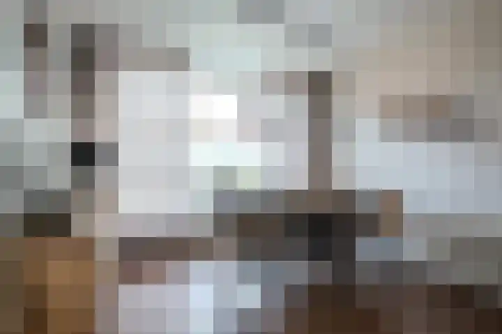 Oude Roermondseweg 64 Herten thumbnail 9