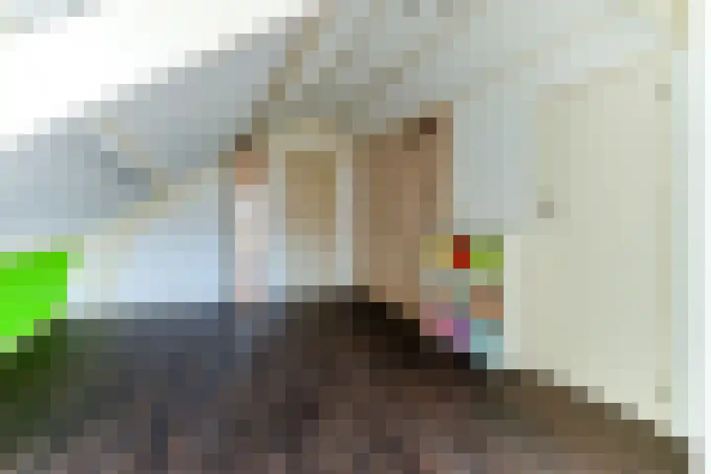 Oude Roosendaalsebaan 5 a Oud Gastel thumbnail 36