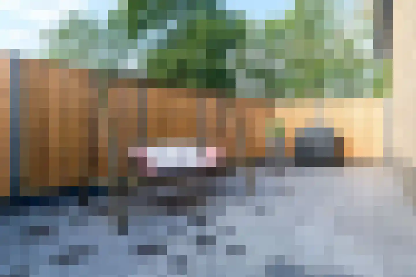 Oude Roosendaalsebaan 5 a Oud Gastel thumbnail 45