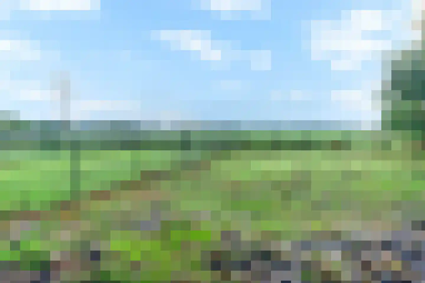 Oude Roosendaalsebaan 5 a Oud Gastel thumbnail 56