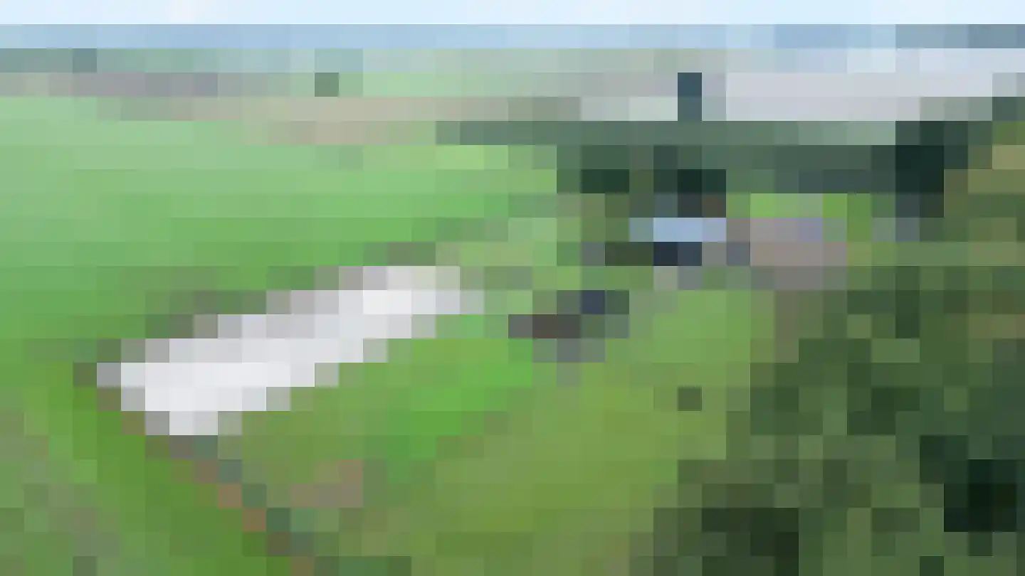 Oude Roosendaalsebaan 5 a Oud Gastel thumbnail 59