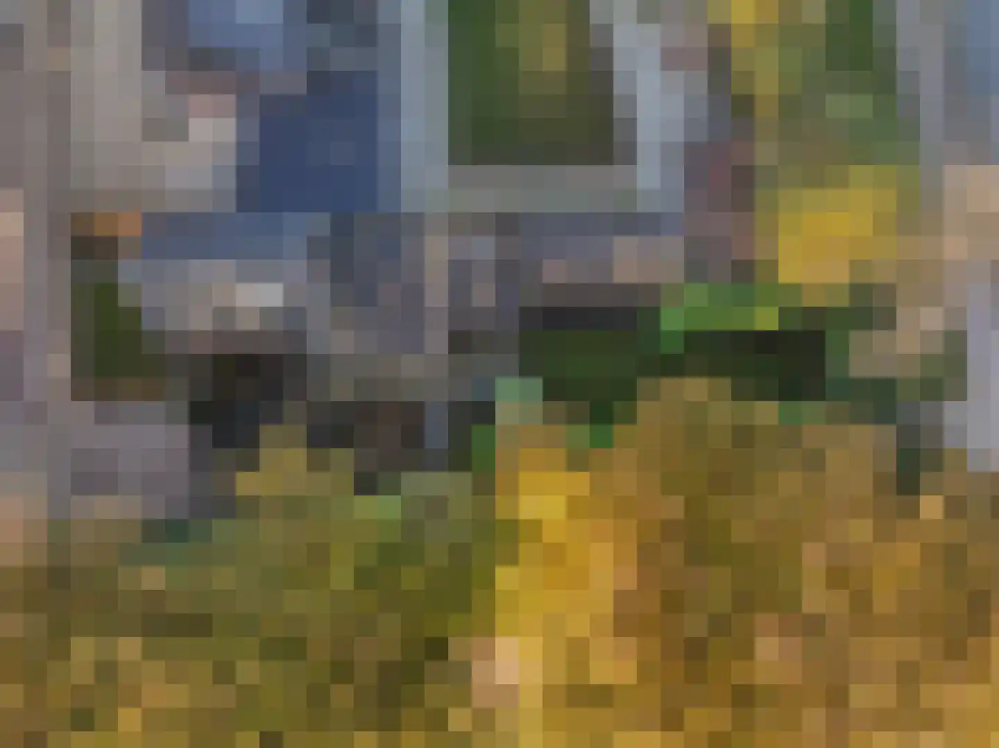 Oude Rossumerstraat 3 Oldenzaal thumbnail 31
