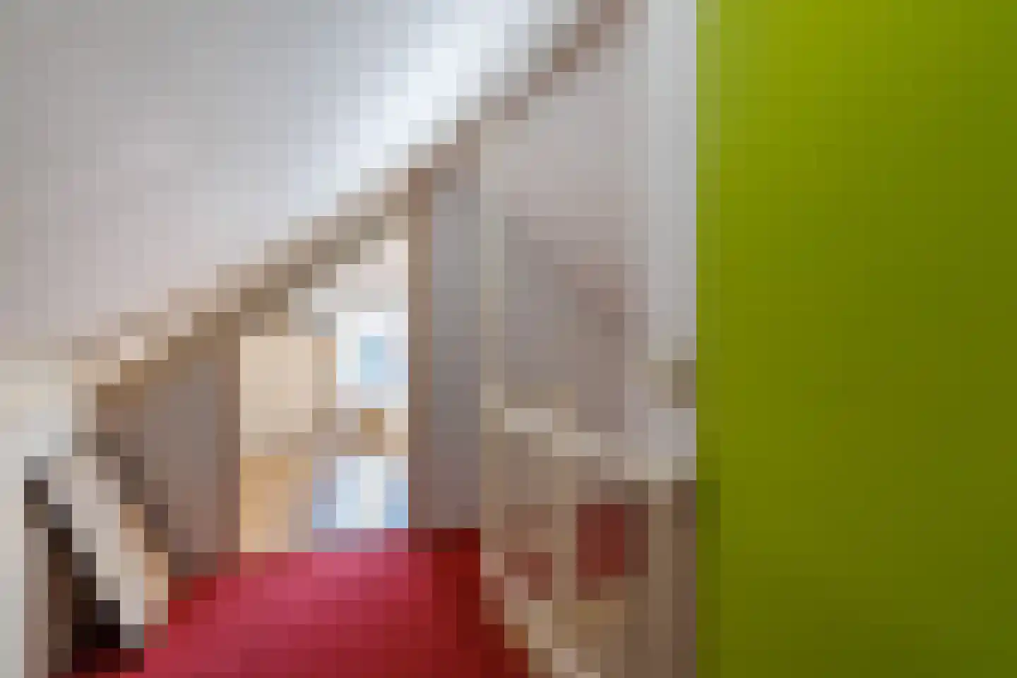 Oude Rossumerstraat 3 Oldenzaal thumbnail 32