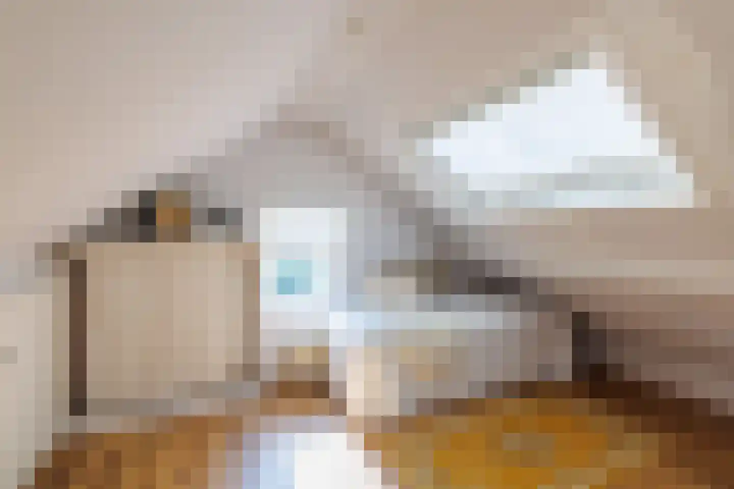 Oude Rossumerstraat 3 Oldenzaal thumbnail 33