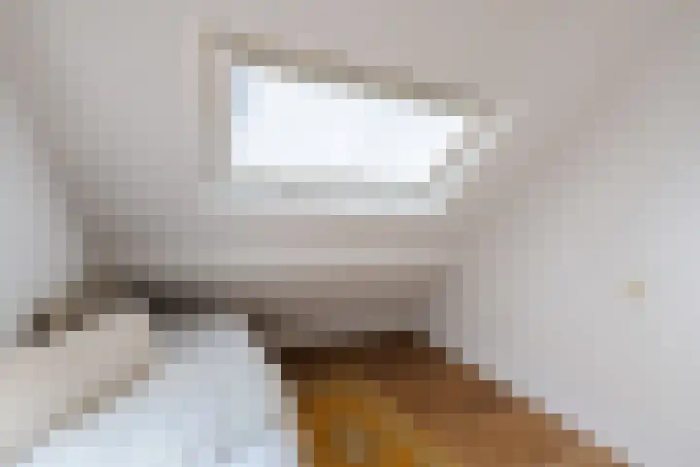 Oude Rossumerstraat 3 Oldenzaal thumbnail 34