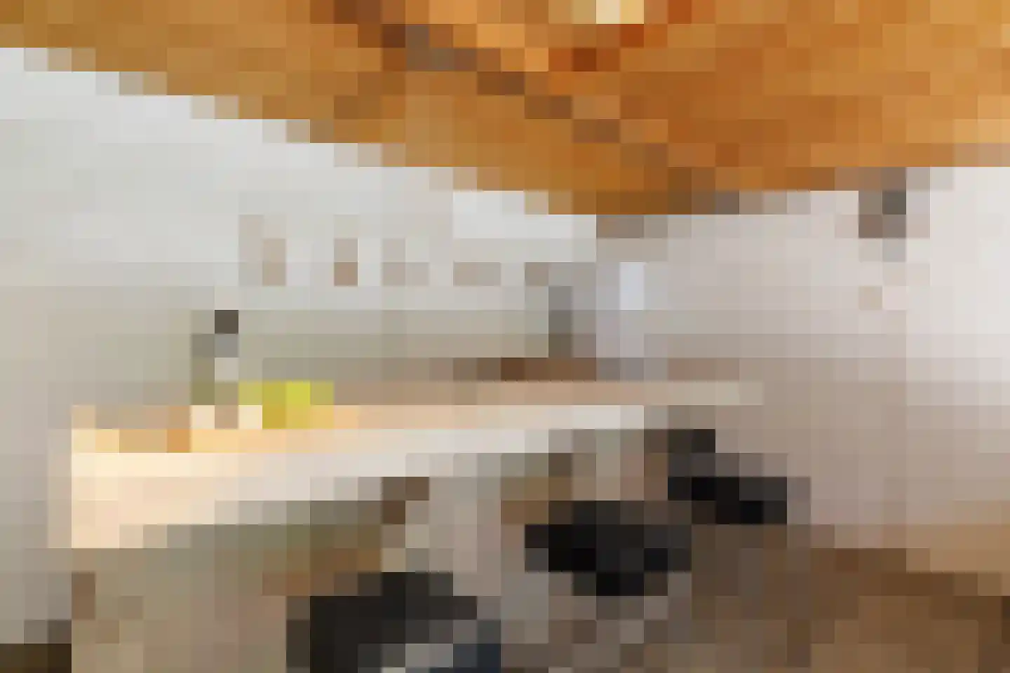 Oude Rossumerstraat 3 Oldenzaal thumbnail 37