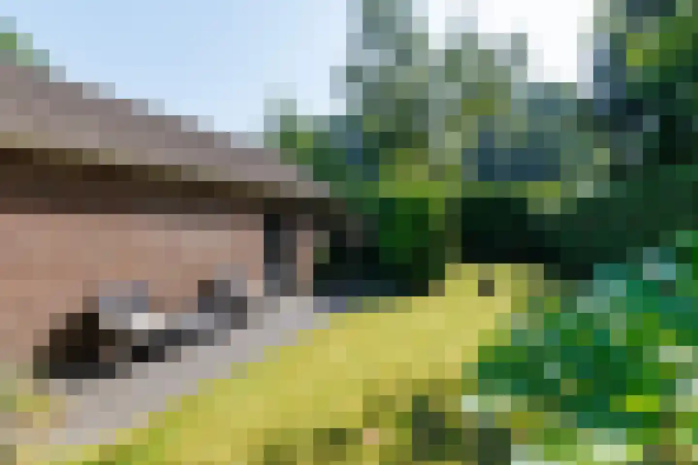 Oude Rossumerstraat 3 Oldenzaal thumbnail 4